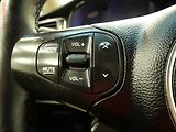 Kia Carens (2015) 1.7CRDI, ČR, AC, výhřev sed. - náhled 16