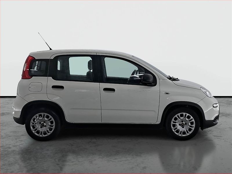 Fiat Panda (2023) 1.0 FireFly, ČR,1.maj - fotka 6 z 14