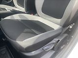 Škoda Fabia 1,4 TDi 66kw Klima FrontAssist - náhled 20