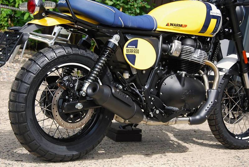Royal Enfield (2026) Bear 650 WILD HONEY - fotka 15 z 25