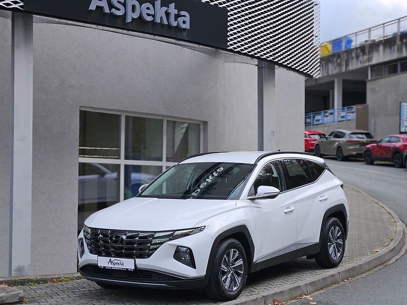 Hyundai Tucson 1,6 T-GDi, Smart, 1.majitel - fotografie inzerátu