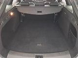 Opel Insignia (2022) 2.0 CDTI, 4X4, Automat - náhled 14