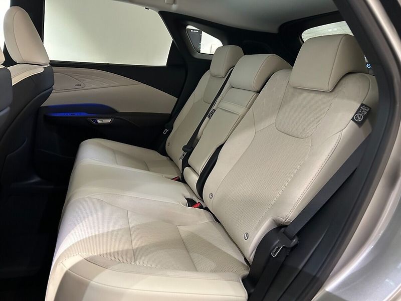 Lexus RX 450h+ 2.5 PHEV LUXURY - fotka 11 z 12