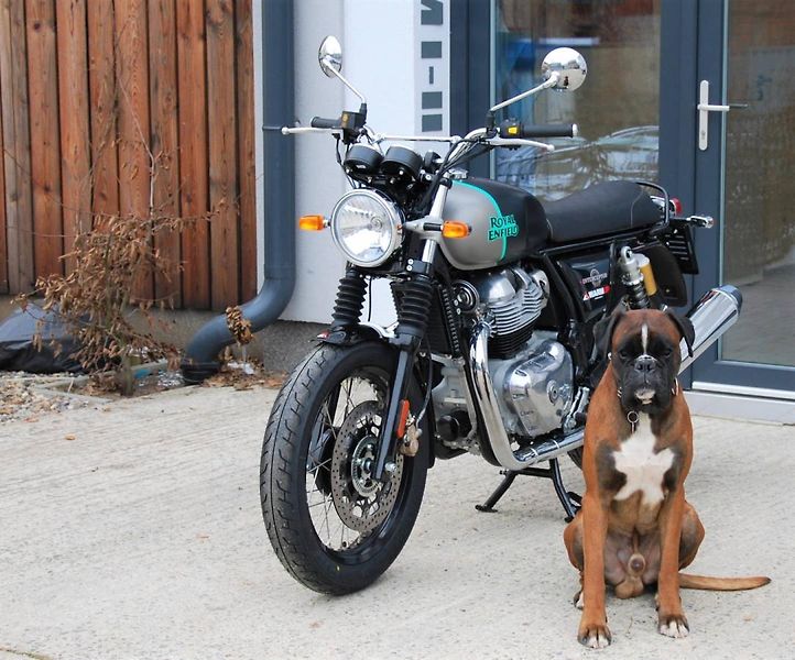 Royal Enfield Continental GT 650 (2026) Interceptor 650 Twin - fotka 9 z 25