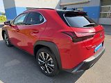 Lexus UX 300h F SPORT automat. navigace - náhled 7