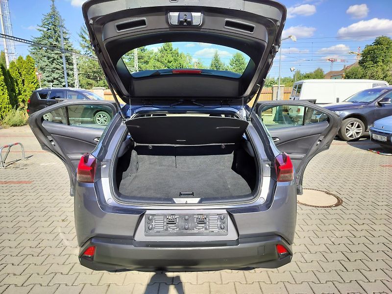 Lexus UX 250h BUSINESS edition,alcantara - fotka 21 z 24
