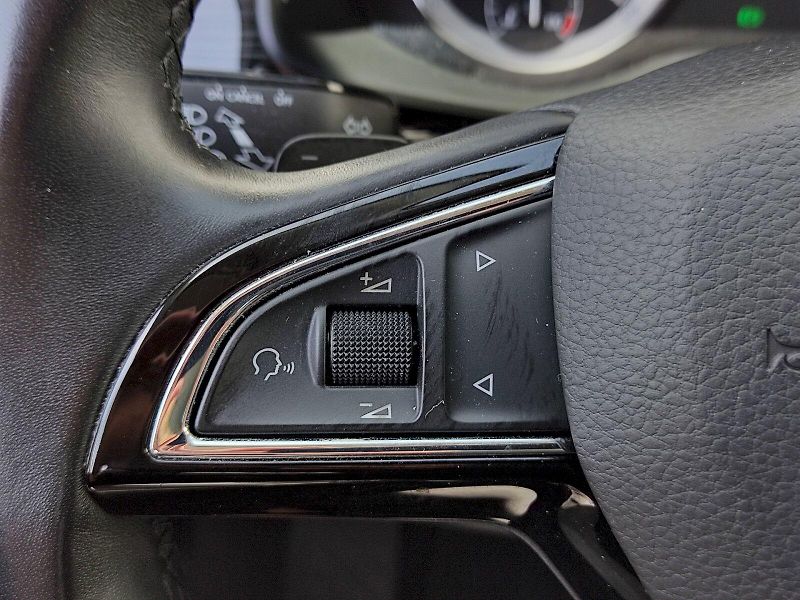 Škoda Kodiaq (2019) Style 2,0 Tdi 110 Kw 4x4 DSG - fotka 30 z 37
