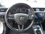 Škoda Octavia 1,0 TSi 85 kw - náhled 13