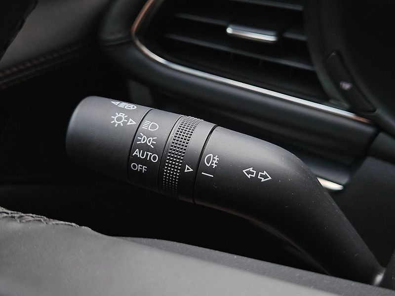 Mazda 3 2.5l e-SKYACTIV G, 1.majitel - fotka 19 z 31