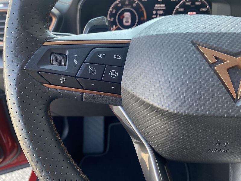 Cupra Formentor 2,0 TSI 140 kW 4WD DSG - fotka 13 z 29