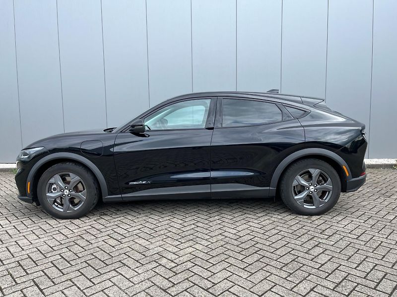 Ford Mustang Mach-E (2021) Mach-E - fotka 2 z 13