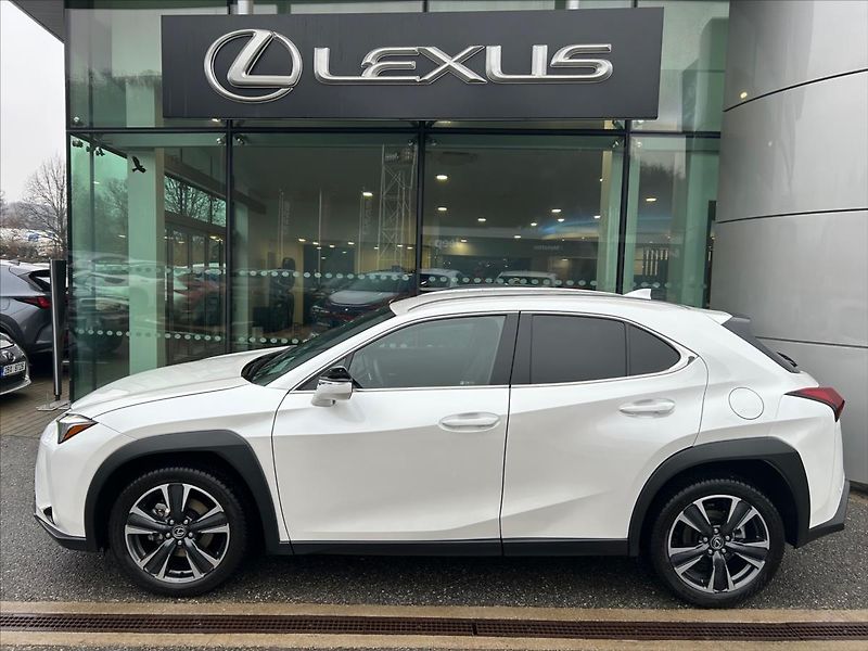 Lexus UX 300h (2024) 2.0   Prestige Plus - fotka 2 z 11