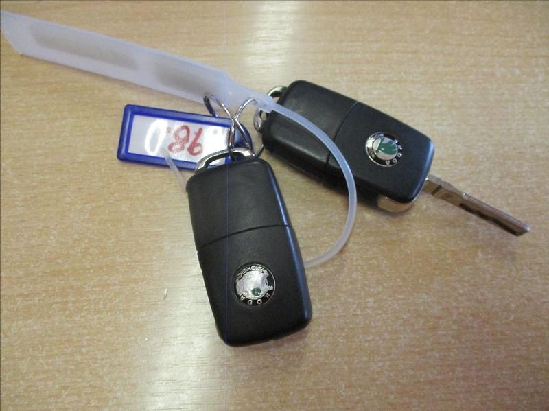 Škoda Octavia 1,6 MPI, digi klima, 1.maj, - fotka 26 z 29