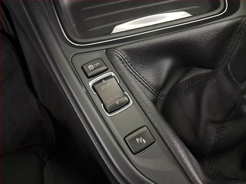 BMW Řada 3 (2013) 318 d, Xenony, Tempomat - fotka 17 z 18