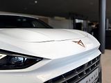 Cupra Terramar (2026) VZ 2.0 TSi 265k DSG 4WD - náhled 11