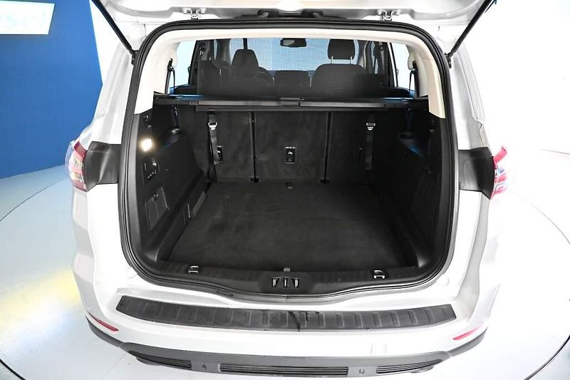 Ford S-MAX (2019) 2.0 TITANIUM 8AT ECOBLUE - fotka 8 z 31