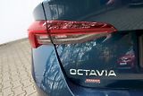 Škoda Octavia (2023) STY TD 85/2.0 M6F - náhled 29