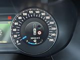 Ford Galaxy 2.0 TDCi SERVISKA.DOL KM - náhled 30