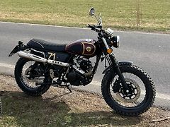 Ostatní (2020) AJS 73 DESERT SCRAMBLER 125 - fotografie inzerátu