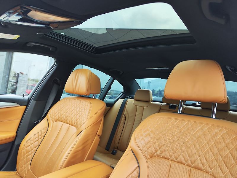 BMW Řada 5 540d/235kW xDrive Luxury AT - fotka 19 z 40