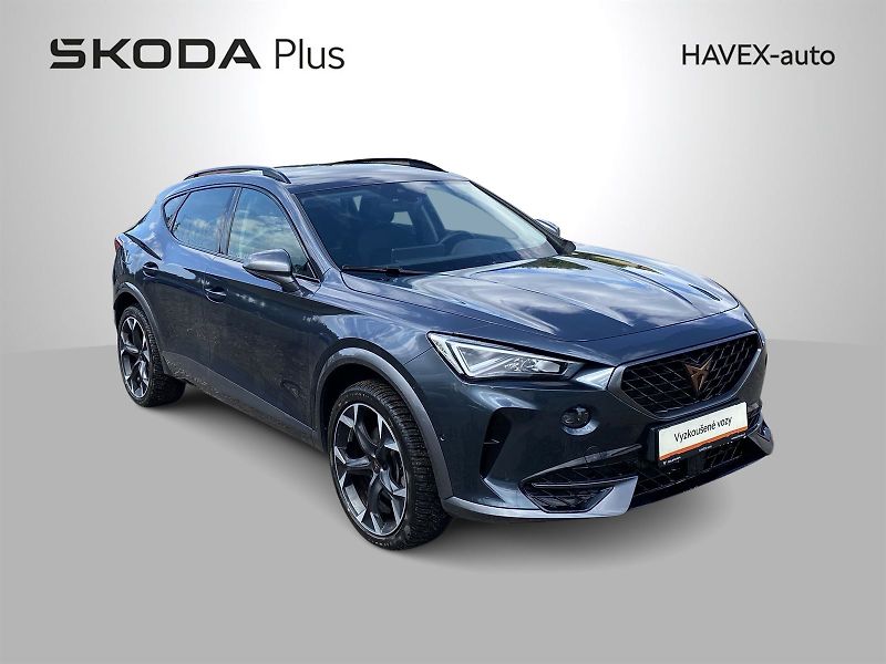 Cupra Formentor (2024) 2,0 TSI 4Drive DSG - fotka 36 z 39