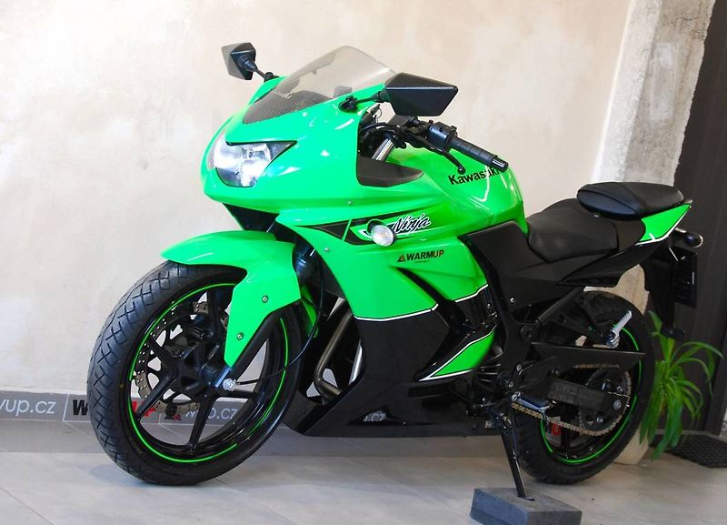 Kawasaki Ninja 250 R (2010) Ninja 250R - hezký stav, ŘP sk - fotka 13 z 20