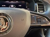 Škoda Kodiaq 2.0 TDI 140 kW, DSG,4x4,STYLE+ - náhled 31