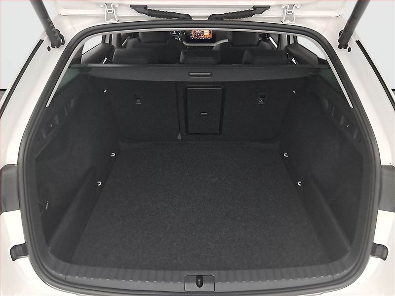 Škoda Octavia (2024) Style 2.0 TDI - fotka 14 z 18