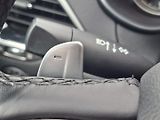 Jeep Cherokee (2019) 2.2M-JET 143kW 4X4 LIMITED - náhled 22