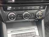 Škoda Octavia (2013) 1.6 TDi, ČR, Elegance, bixen - náhled 14