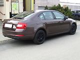 Škoda Octavia (2014) 1.6 TDI 77kW  ZIMNÍ KOLA - náhled 11