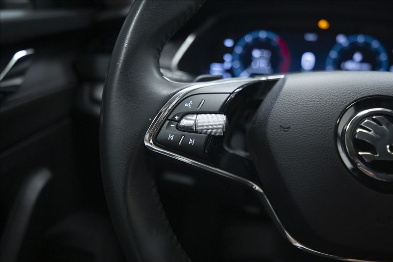 Škoda Octavia 2,0 TDI DSG VÝHŘEV 1. MAJ ČR - fotka 19 z 38