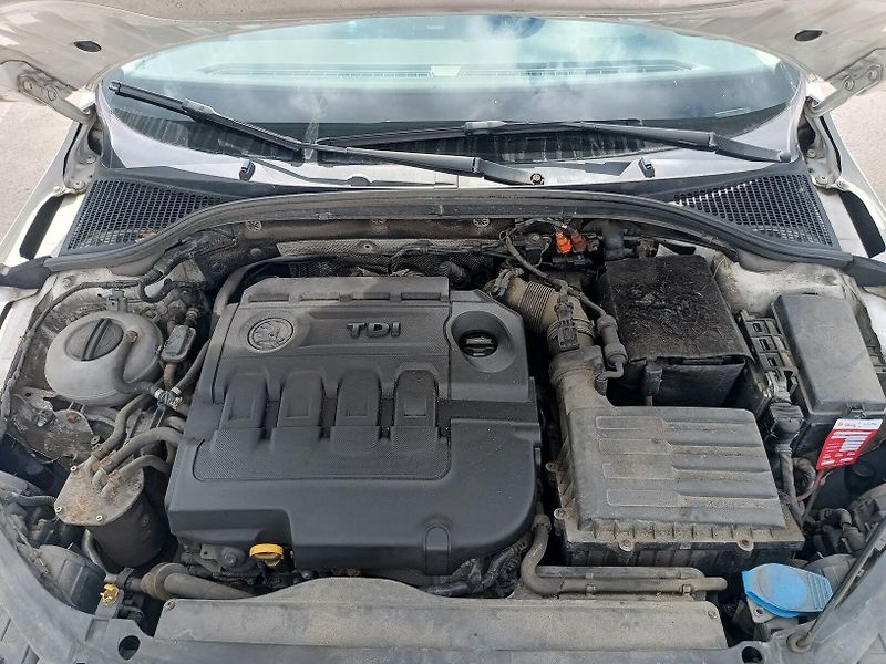 Škoda Octavia III 1.6 TDI - fotka 44 z 56