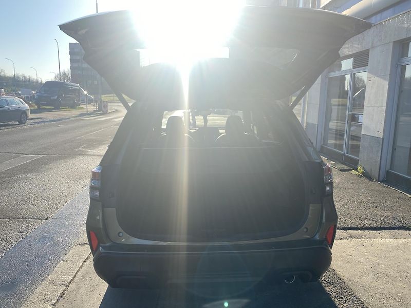 Subaru Forester (2025) FIELD MR 2025 !!!!! - fotka 7 z 17