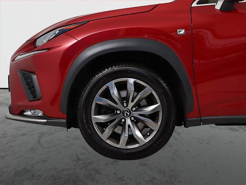 Lexus NX 300h (2019) 300h - fotka 13 z 21