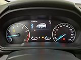 Ford EcoSport (2018) Titanium 1.0 EcoBoost, Kůže - náhled 11