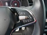Škoda Scala (2020) 1.5TSi, ČR, DSG, bixen, park - náhled 14