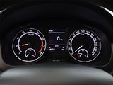 Škoda Rapid (2018) Spaceback 1.0 TSI, Serv.kniha - náhled 9