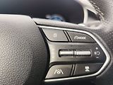 Hyundai Santa Fe 2.2 CRDi/142kW Premium STL DCT - náhled 30