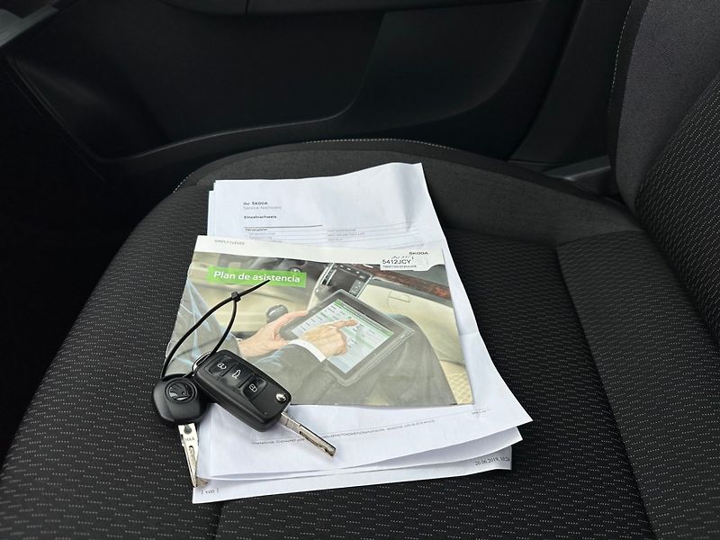 Škoda Rapid (2015) 1.4TSi DSG,NAVI,KAMERA, 100%KM - fotka 13 z 17