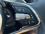 Škoda Karoq (2024) 2.0 TDI 4x4 DSG Fresh - náhled 20