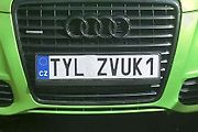 TYL ZVUK1