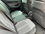 Škoda Octavia (2024) 1.5 TSI 110kW MHEV Top Selecti - náhled 19