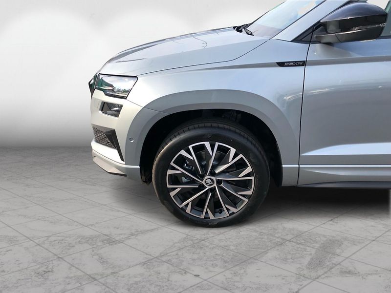 Škoda Karoq 1,5 TSI - fotka 10 z 30