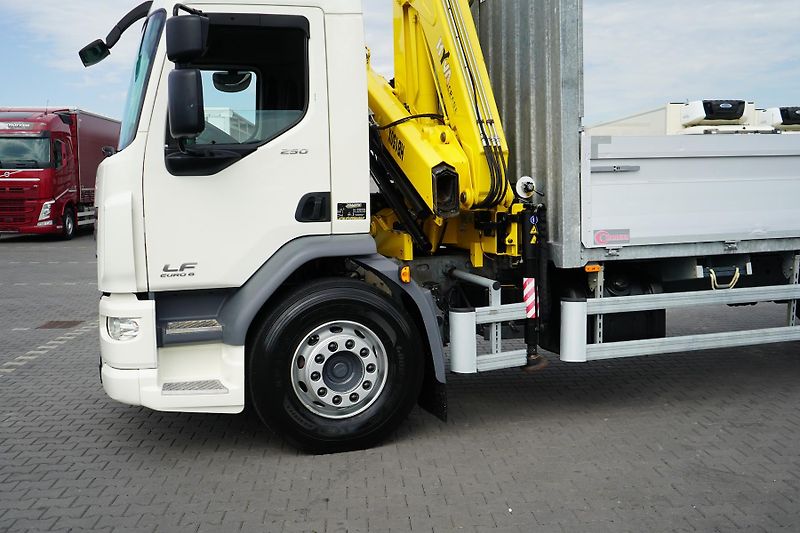DAF LF (2015) / 250 / SKRZYNIOWY + HDS / HYV - fotka 18 z 52