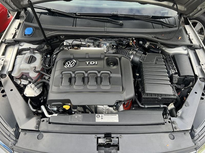 Volkswagen Passat Alltrack 2.0TDi 176kw 4X4 DSG  - fotka 48 z 55