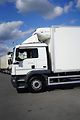 MAN TGM (2021) 18.250 / EURO 6 / CHŁODNIA + W - náhled 25