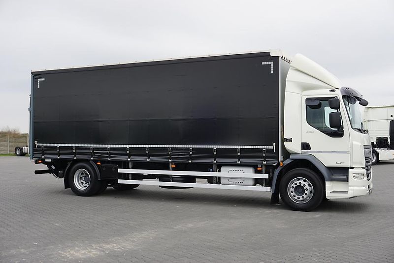 DAF LF (2019) 290 / E 6 / FIRANKA + WINDA /  - fotka 4 z 44