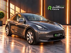Tesla Model Y (2022) LR Dual Motor - fotografie inzerátu