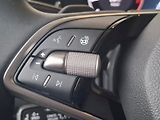 Škoda Kodiaq (2024) EXLUSIVE SELECTION 4X4 TD 142/ - náhled 19
